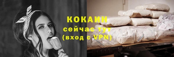 сатива Дмитриев