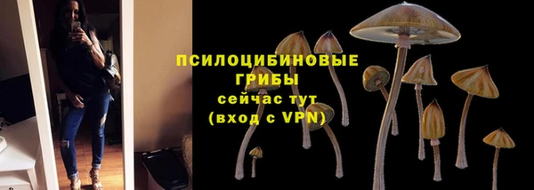 прущая мука Киреевск