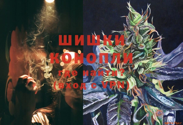 сатива Дмитриев