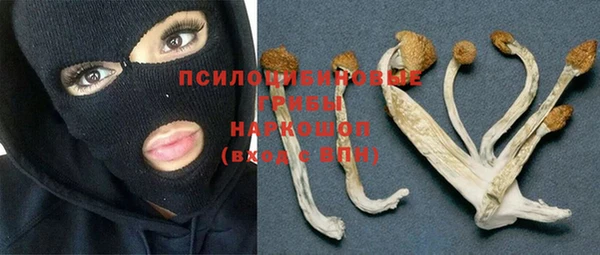 не бодяженный Гусев