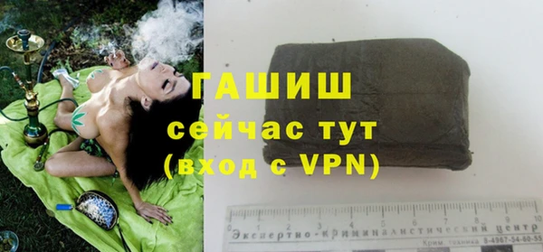 метадон Новодвинск