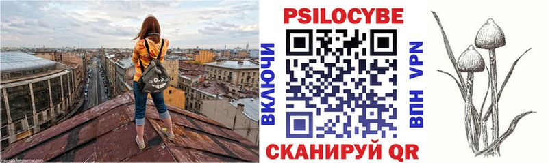 Псилоцибиновые грибы мухоморы дарнет шоп Правдинск
